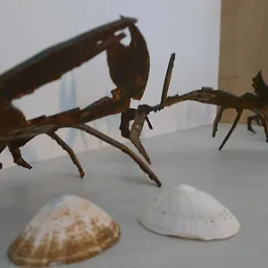 https://au-gre-des-marees.inbrittany.com